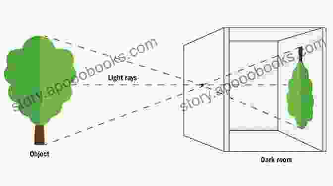 A Diagram Illustrating The Principles Of Camera Obscura, The Precursor To The Camera Here S Looking At You: The Romantic And Hilarious Feel Good Rom Com