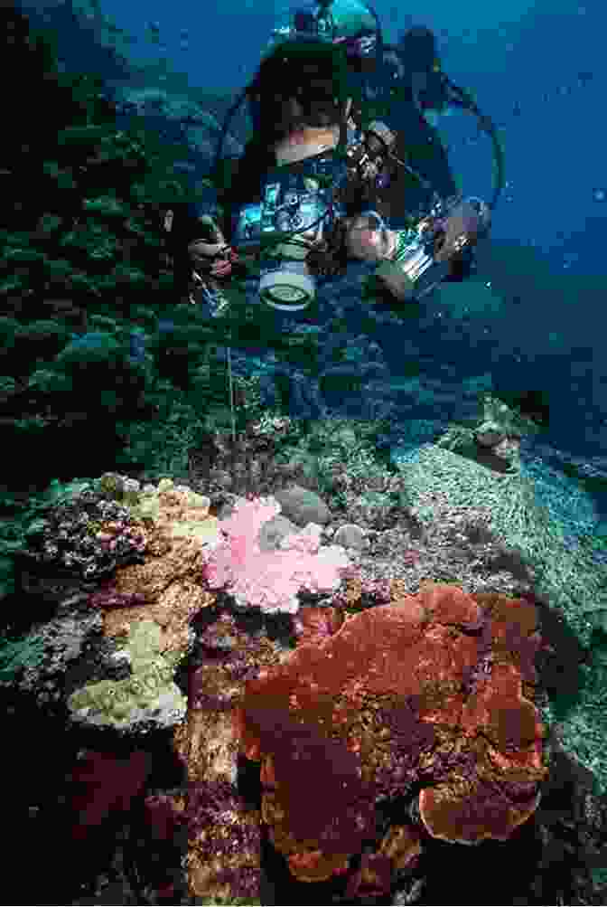 A Diver Taking An Underwater Photograph Of A Coral Reef Master Guide For Underwater Digital Photography