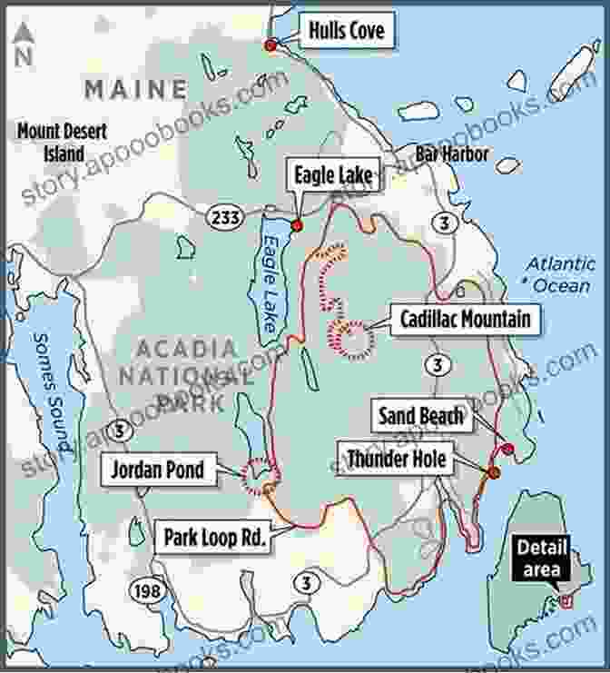 A Hiker Consulting A Map While Planning Their Adventure In Acadia National Park Carriage Roads Of Acadia: A Pocket Guide