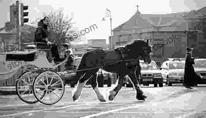 A Horse Drawn Carriage Passing By A Stately Mansion In The Garden District, New Orleans Top Ten Sights: New Orleans