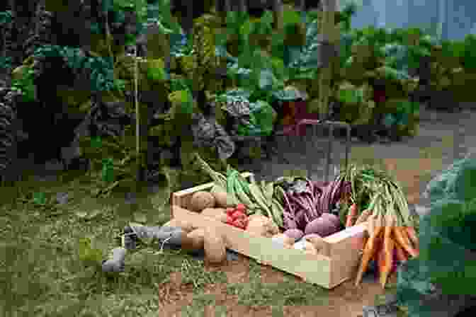 A Lush And Vibrant Vegetable Garden Thriving With Fresh Produce, Showcasing The Wonder Of Homegrown Food. My Mom Is A Cannabis Farmer: It S Just A Plant