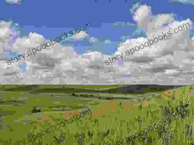 A Panoramic View Of A Vast Western Landscape, With Towering Mountains, Rolling Plains, And A Vibrant Sunset, Capturing The Beauty And Ruggedness Of The Setting Big Hearted Cowboy (The Buckskin Brotherhood 2)