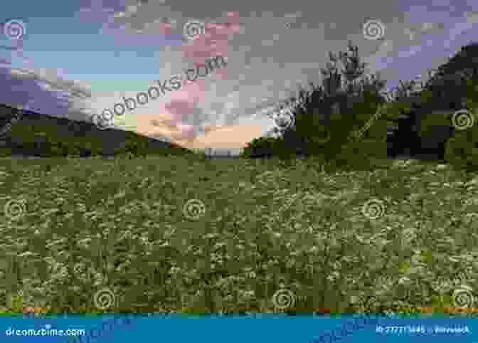 A Panoramic View Of A Verdant Meadow, Dotted With Wildflowers And Framed By Lush Trees In The Distance In The Fresh Green