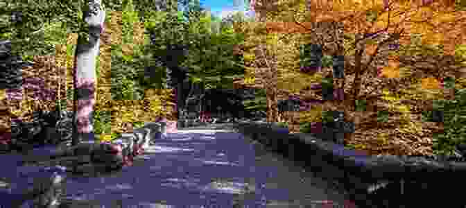 A Scenic Carriage Trail Winding Through A Lush Forest In Acadia National Park Carriage Roads Of Acadia: A Pocket Guide