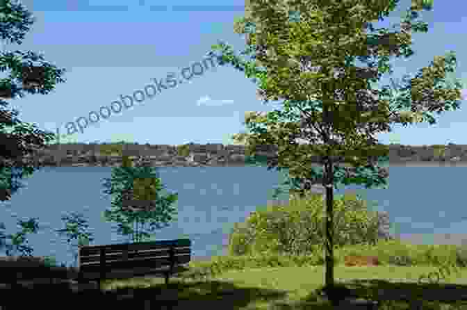 A Scenic View Of Lemoine Point Conservation Area, With A Forest In The Background And The St. Lawrence River In The Foreground 10 Things To Do In Kingston Canada