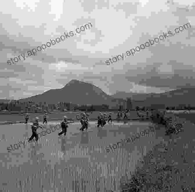 A Vietnamese Propaganda Poster Depicting A Soldier In A Field Of Rice Paddies 150+ Modern Vietnamese Propaganda Posters: Photographed By Mark Griffiths