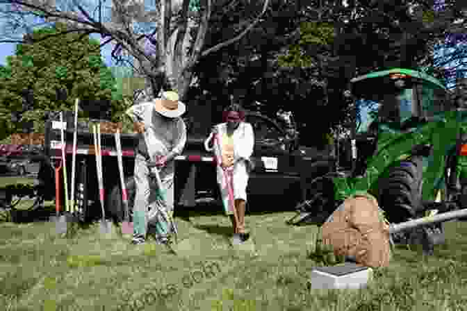 A Young Woman Planting A Tree In Memory Of Her Loved One A Suitable Companion For The End Of Your Life