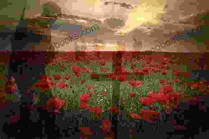 A Young Woman Stands In A Field Of Poppies, Her Head Bowed In Remembrance. On Remembrance Day I Try To Forget