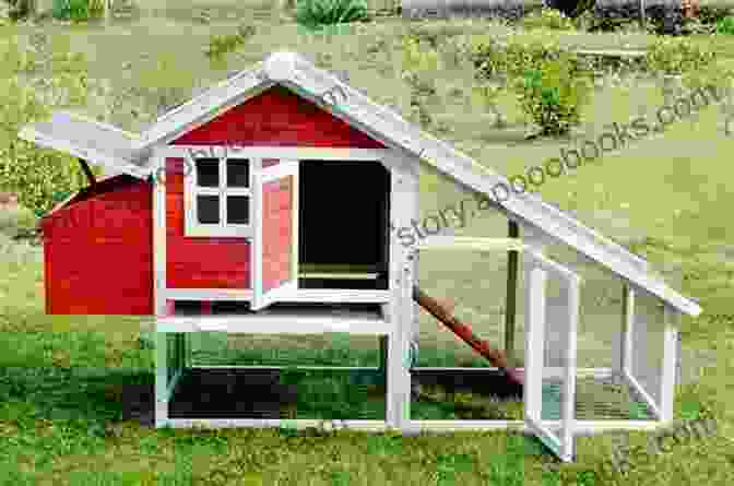 An Aesthetically Pleasing Chicken Coop, Designed To Provide A Safe And Comfortable Environment For Chickens. Raising Chickens For The First Time: 6 Simple Steps To A Healthy Happy And Productive Backyard Flock Get Endless Fresh Eggs And Have Fun ng It (Backyard Chickens Guide)