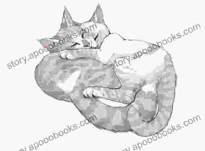 An Illustration Of A Family Of Cats Cuddling Together Me Me MeooW : Cat Illustrations For Toddlers: Cat Illustration For Toddlers