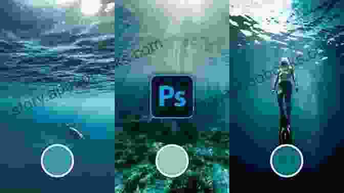 An Underwater Photographer Editing An Underwater Image On A Computer. Underwater Photographer S Manual: How To Take Photos In Underwater Situations