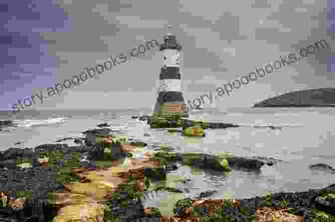 Ancient Ruins And Artifacts Scattered Across Puffin Island First Time In Forever (Puffin Island 1)