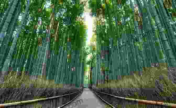 Arashiyama Bamboo Grove 100 Kyoto Sights: Discover The Real Japan