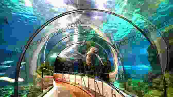 Barcelona Aquarium Barcelona Top 20 Places To See Spain Edition