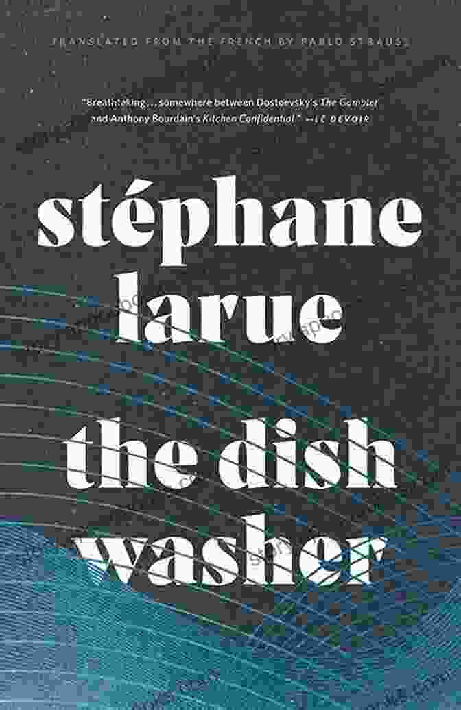 Book Cover Of The Dishwasher By Stéphane Larue The Dishwasher (Biblioasis International Translation 26)