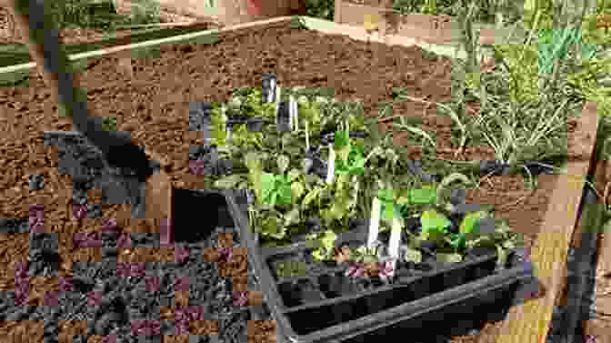 Detailed Instructions On Watering And Fertilizing Techniques Tailored For Raised Bed Gardening Homesteaders: Raised Bed Gardening Quick Bites Guidebook (Homesteading For Beginners 3)