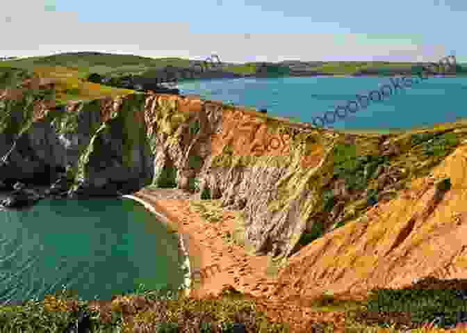 Discover Hidden Waterfalls And Secluded Coves Along The Rugged Coastline Of Point Reyes National Seashore. Trails Through Western Woods