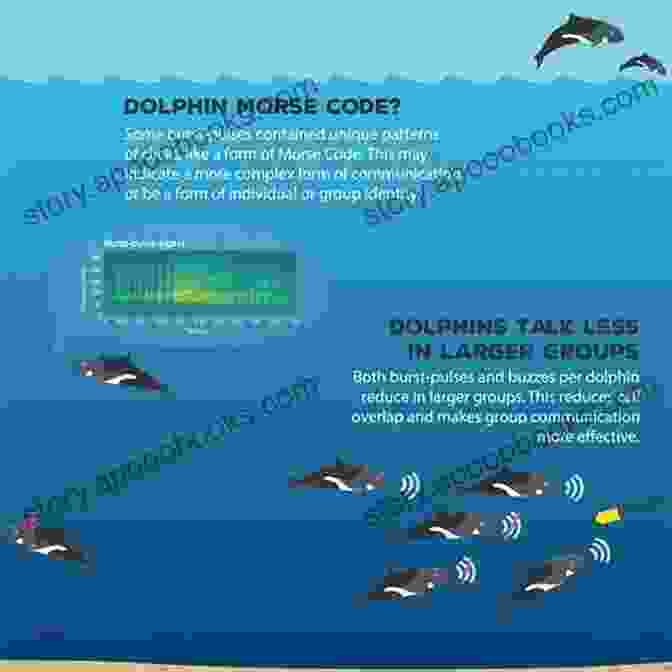 Dolphins Communicating Underwater Using Complex Acoustic Signals Dolphin Mysteries: Unlocking The Secrets Of Communication