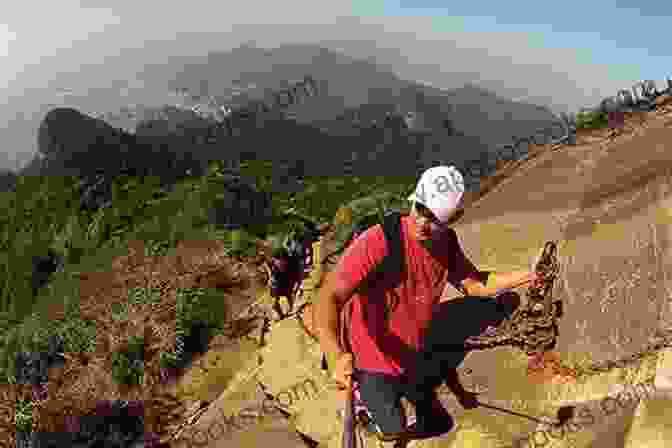 Exhilarating Hike Through The Tijuca Forest, Showcasing Brazil's Diverse Wildlife And Stunning Landscapes Do You Know WHY You Will Like And FALL IN LOVE When Traveling Through BRAZIL AFTER The PANDEMIC Of Corona VIRUS ( Covid 19 )?