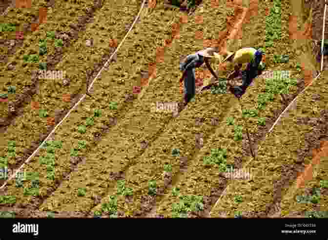 Farmers In Coppell Tend To Their Crops Coppell Texas: A History (Brief History)