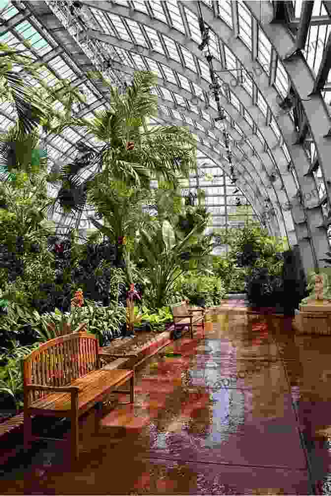 Garfield Park Conservatory's Palm House, A Stunning Victorian Greenhouse Filled With Exotic Plants And Towering Palm Trees Chicago Travel Guide With 100 Landscape Photos