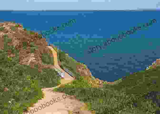 Hiker Enjoying Coastal Views In Jersey Pocket Rough Guide Staycations Jersey (Travel Guide EBook) (Rough Guides Pocket)