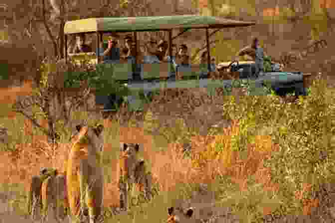 Kruger National Park Game Drive Just Do That Kruger Game Drive (Enjoy Kruger 2)