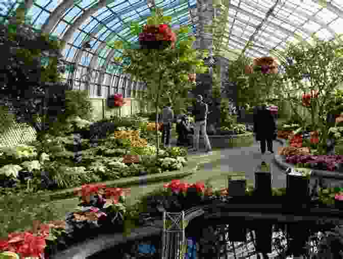 Lincoln Park Conservatory's Glasshouse Filled With Lush Greenery And Exotic Plants Chicago Travel Guide With 100 Landscape Photos