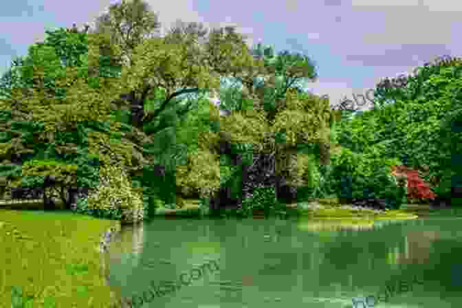 Lush Greenery Of The Englischer Garten, Showcasing Its Tranquil Atmosphere Munich Travel Guide: With 100 Landscape Photos