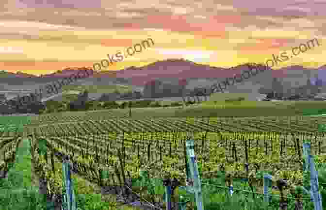 Napa Valley Is Home To World Class Wineries And Exceptional Wine Tasting Experiences 100 Things To Do In Napa Valley Before You Die Second Edition