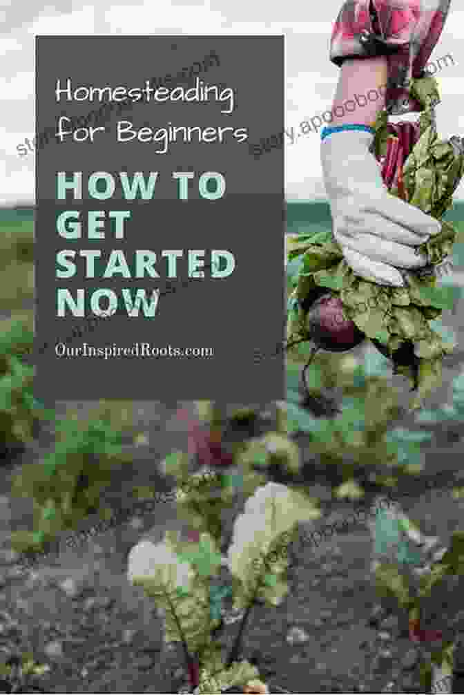 Organic Gardening Tips For Homesteading Beginners Homesteaders Quick Bites Guidebook Growing Organic Vegetables: Organic Gardening Tips (Homesteading For Beginners 5)