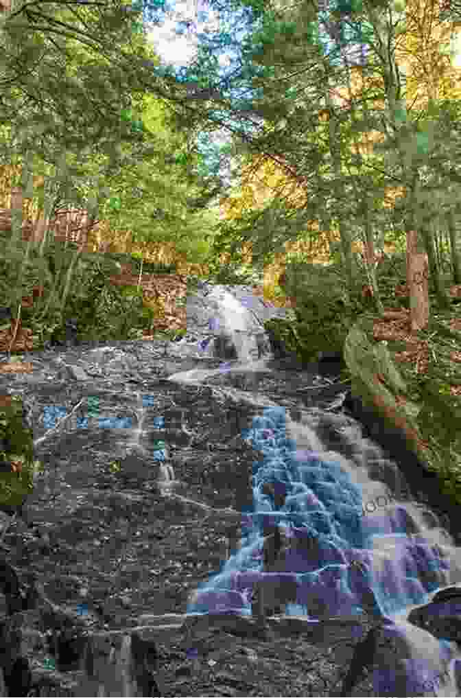 Thundering Brook Falls Plunging Into A Pool Hiking The Green Mountains: A Guide To 35 Of The Region S Best Hiking Adventures (Regional Hiking Series)