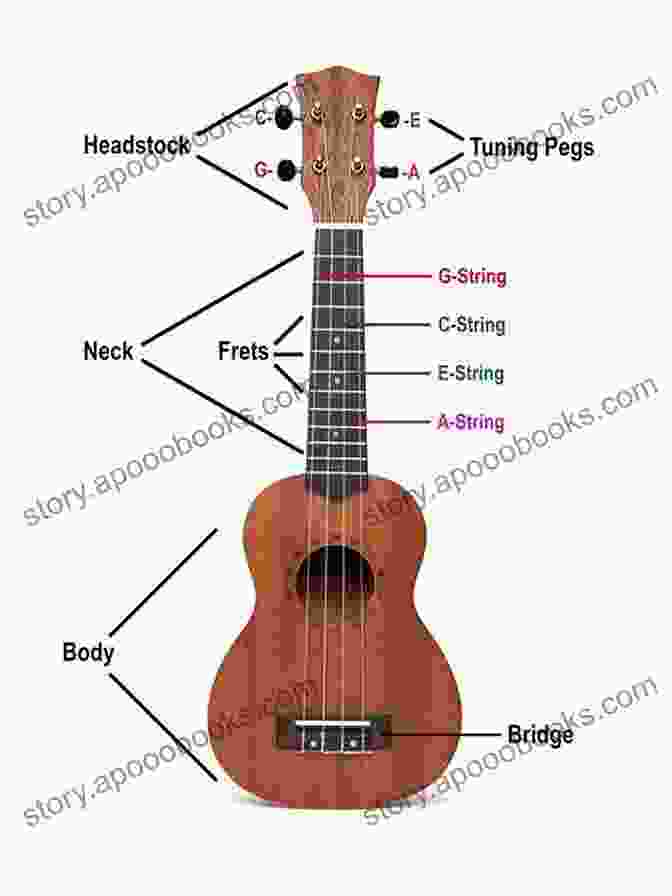 Ukulele With Strings, Fretboard, And Soundhole Ukulele Solos Book: Easy Ukulele For Beginners: Ukulele Solos