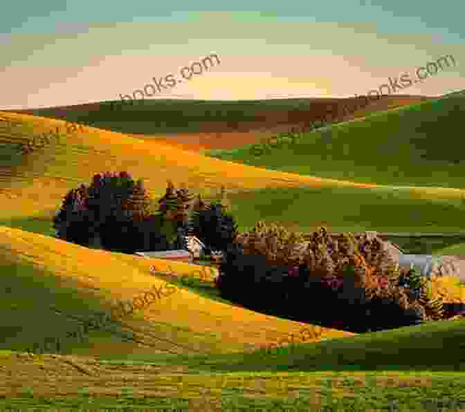 Vermont Mountain Landscape With Rolling Hills, Lush Forests, And A Winding Road The Rough Guide To New England (Rough Guide To )