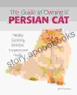 Guide To Owning A Persian Cat