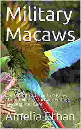 Military Macaws: Everything You Need To Know About Military Macaw Feeding Housing And Care